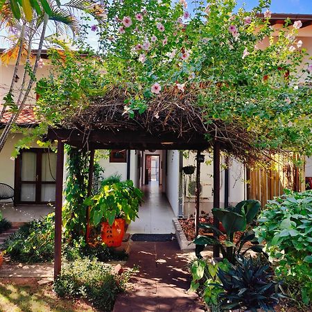 Apartamentos Don Gerardo 亚松森 外观 照片